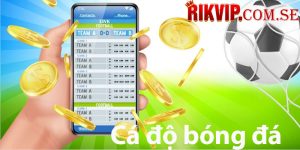 Các loại hình cược phổ biến tại Rikvip